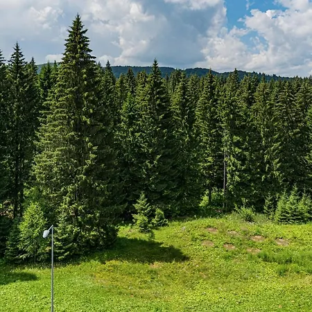 Pine Woods B35 In Silver Mountain Apartment Poiana Brasov
