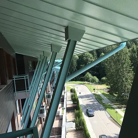 Pine Woods B35 In Silver Mountain * Poiana Brasov